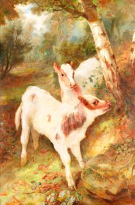 I bambini nel bosco