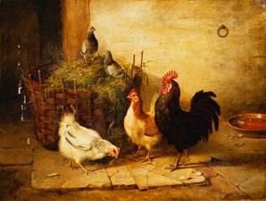 Pollame e piccioni in un interno da Walter Hunt