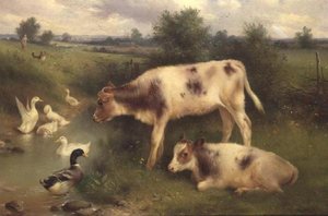 Lo stagno delle anatre