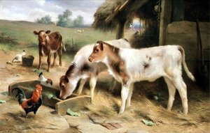 Tre vitelli e pollame