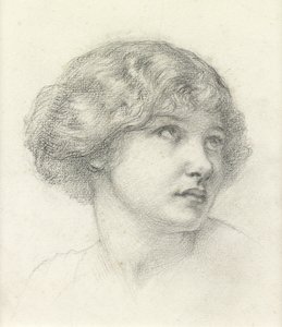 Testa di una ragazza