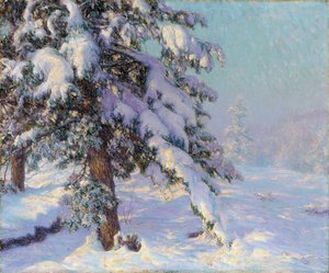 Carico di Neve