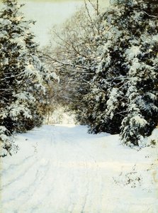 Alberi carichi di neve