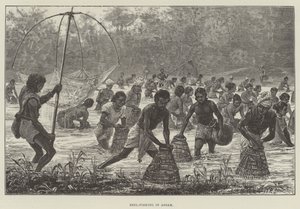 Pesca con la rete in Assam da Walter Paget
