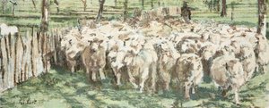 Tutti noi come pecore