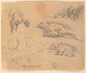 Schizzi di pecore da Walter Shirlaw