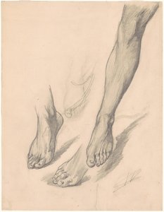 Studi di piedi