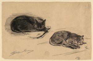Studio di Gatti da Walter Shirlaw