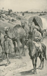 Una carovana di cammelli, Australia occidentale da Walter Stanley Paget
