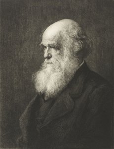 Charles Robert Darwin da Walter William (after) Ouless