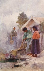 Nuova Zelanda: Cucinare in una sorgente calda