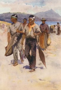 Nuova Zelanda: Festa di pesca Maori