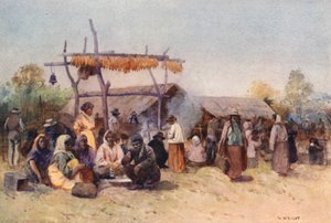 Nuova Zelanda: Raduno nativo da Walter Wright