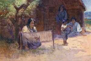 Nuova Zelanda: Tessitura del Kaitaka da Walter Wright