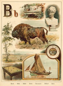 Lettera B