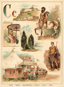 Lettera C