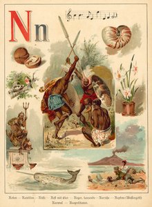 Lettera N