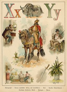 Lettera X e Lettera Y
