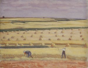 Durante il raccolto