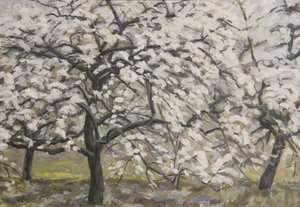 Alberi da frutto in fiore da Walther Gamerith