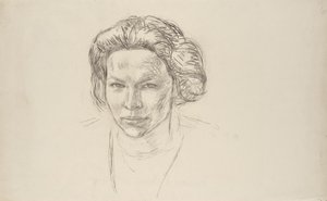Ritratto di signora