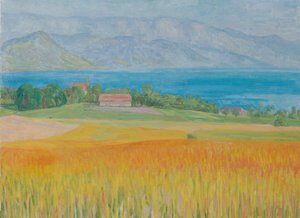 Campo di grano al lago Attersee da Walther Gamerith