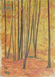 Interno del bosco da Walther Gamerith