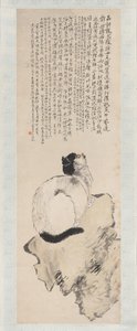 Gatto da Wang Li