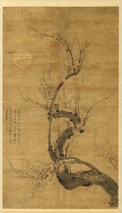 Un pruno al chiaro di luna da Wang Mian