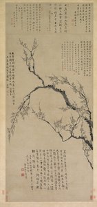 Fiori di pruno da Wang Shishen