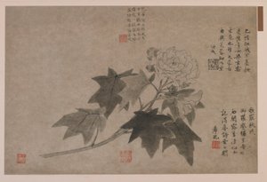Ibisco, 1347 da Wang Yuan