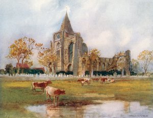  da Warwick (after) Goble