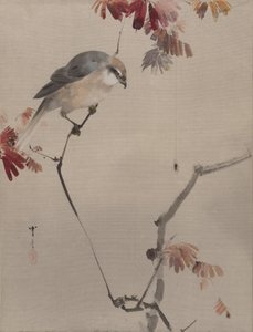 Uccello su un ramo che osserva un ragno, ca. 1887 da Watanabe Seitei