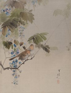 Uccelli e fiori, ca. 1887 da Watanabe Seitei