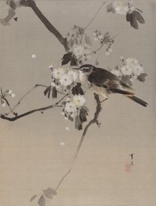 Uccelli su un ramo fiorito, ca. 1887 da Watanabe Seitei