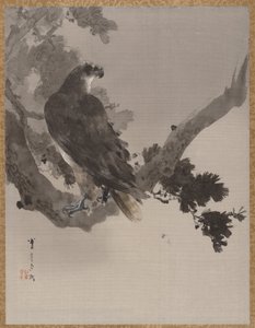 Aquila su un albero, ca. 1887 da Watanabe Seitei