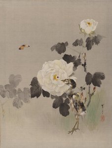 Rose, Uccellino e una Farfalla da Watanabe Seitei