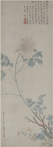 Peonia, rotolo appeso, 1532 da Wen Zhengming