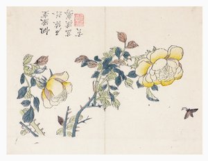 Giardino del seme di senape da Wen shu Chao