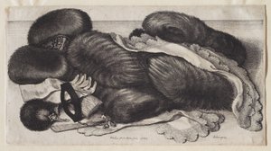  da Wenceslaus Hollar