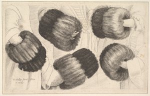 Un manicotto in cinque viste, 1645-46