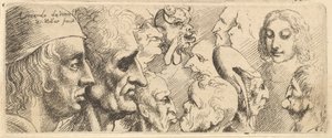 Varietà di teste, 1625-77 da Wenceslaus Hollar