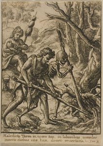 Adamo che ara da Wenceslaus Hollar