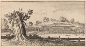 Albury da Wenceslaus Hollar