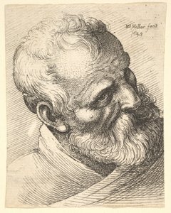 Vecchio barbuto con la testa inclinata da Wenceslaus Hollar