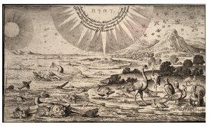 Creazione di uccelli e pesci da Wenceslaus Hollar