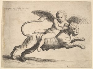 Cupido su una tigre, 1652