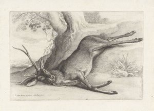 Cervo ucciso (serie: Jacht, jachthonden en wild) da Wenceslaus Hollar