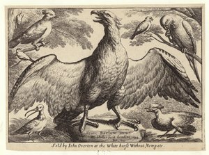 Aquila e altri uccelli da Wenceslaus Hollar