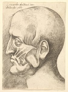 Testa scorticata di un uomo di profilo a sinistra da Wenceslaus Hollar